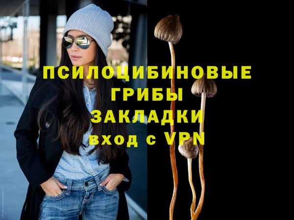 круглые Белокуриха